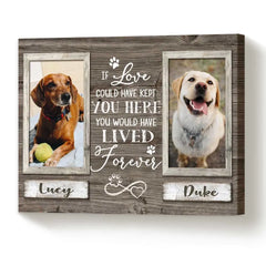 Pet Memorial Gifts, Sympathy Gifts For Pet Loss, Double Picture Frame