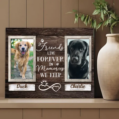 Pet Memorial Gifts, Sympathy Gifts For Pet Loss, Double Picture Frame